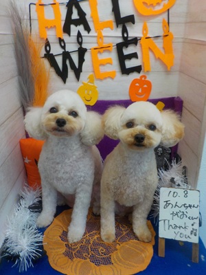 かわいくなった?