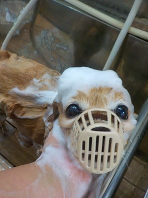 頑張ってます…