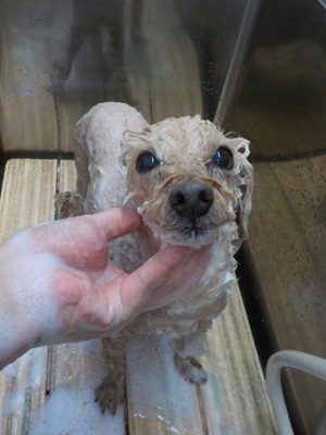 ぼくのばん~.。o○