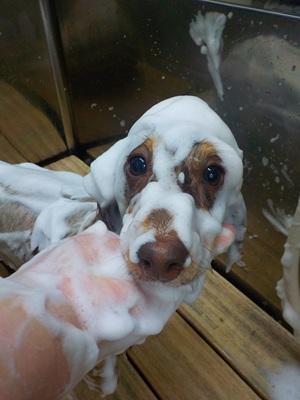 マシュマロマン☁