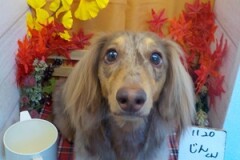 綺麗になった✨