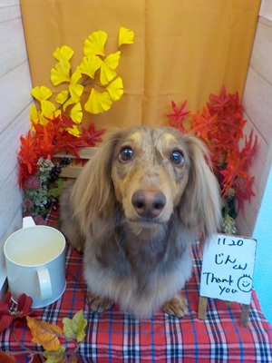 綺麗になった✨