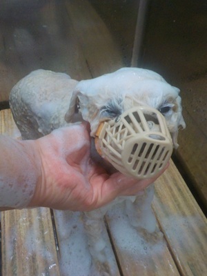 頑張ってます…