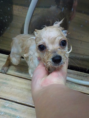 頑張ってます…