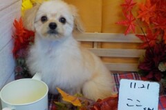 可愛くなっただろっ！！