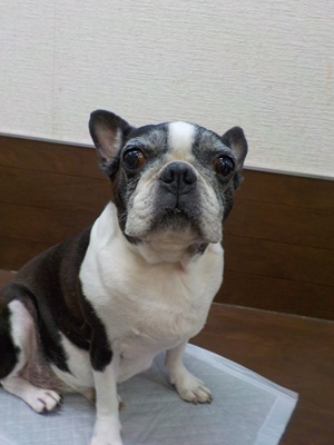 今日はひとりよ!