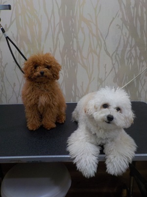 ふたりで来たよ~!!!