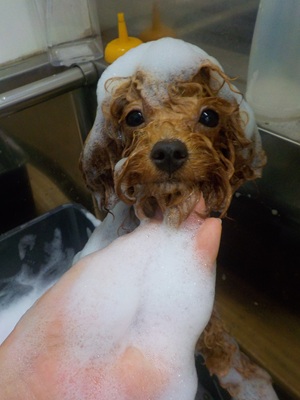 緊張しちゃう…