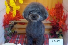 かわいくなった？