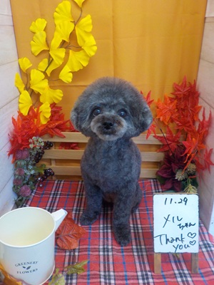 かわいくなった?