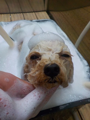 泡風呂～○o。.