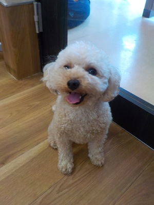 今日は1人なんです～