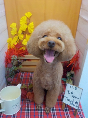 すっきりしたわ~♪