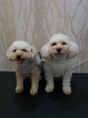 きたよ～！！！