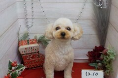 かっこよくなった？