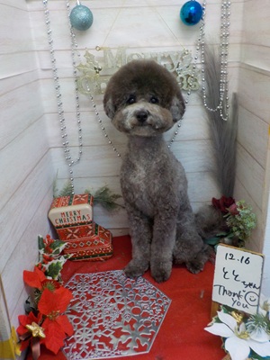 スッキリした♪♪