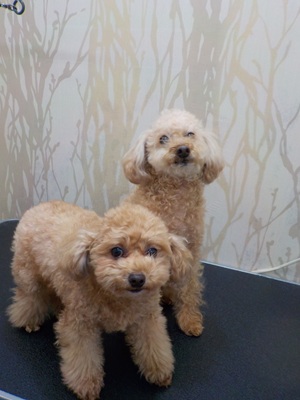 12.17そら・くう