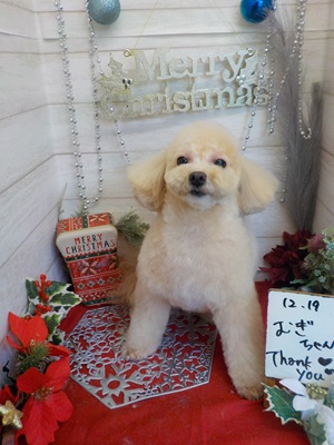 ふわっとしたよ～