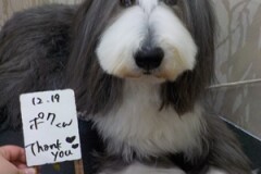 綺麗になった～