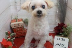 かっこよくなった？