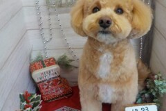 ふわっとしたよ～