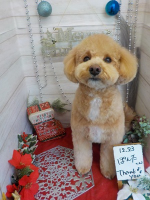 ふわっとしたよ～