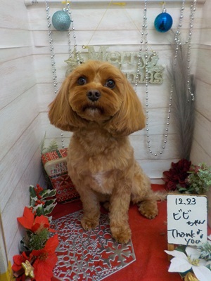 がんばった！！