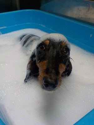 泡風呂～○o。.