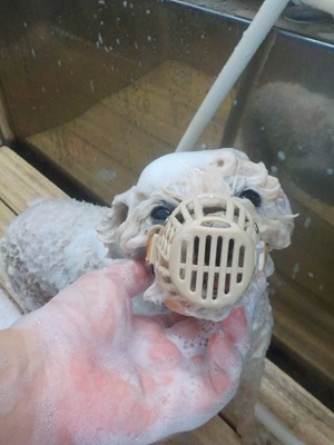 頑張ってます…