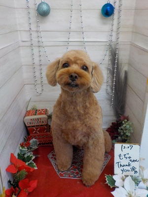 かわいくなった?