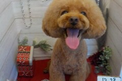 ビックスマイル☺