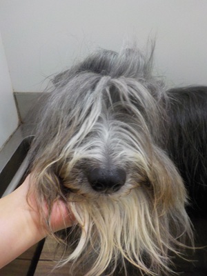 きれいにな～れ✨