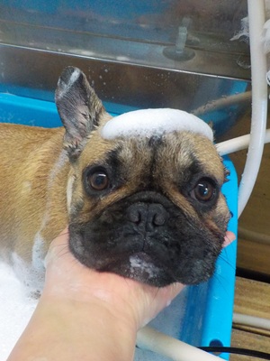 あわのせ～.。o○