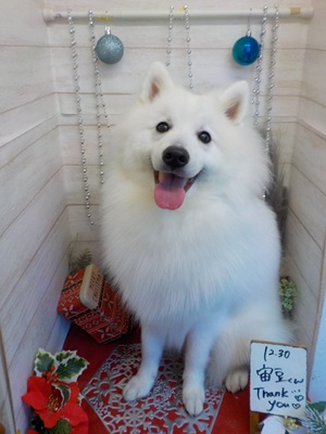 ふわふわだ～！！