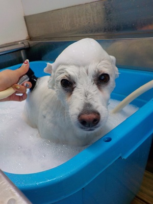 泡風呂～○o。.