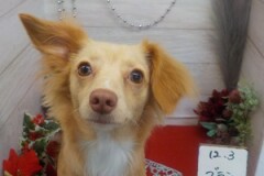 がんばったよ！！