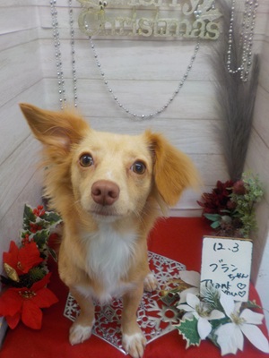 がんばったよ！！