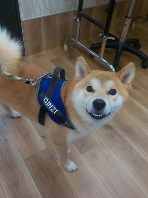 きたよ～！！！