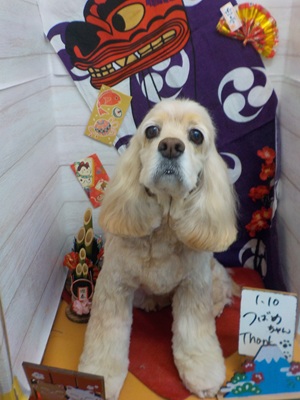 スッキリ!サッパリ!