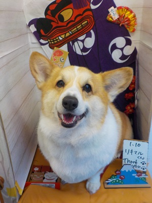 まるっとしたよ!!