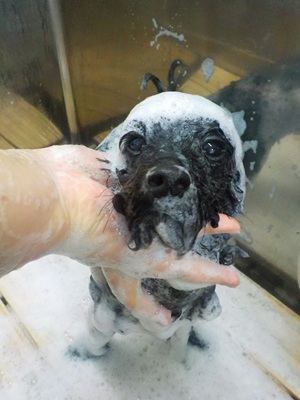 泡まみれ○o。.