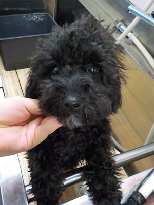 はじめまして～