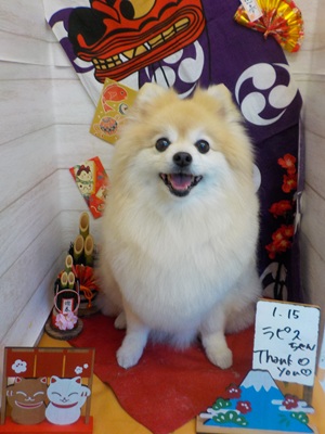 ふわっとしたよ～