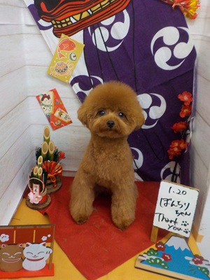 まんまる！！！