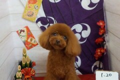 スッキリした♪