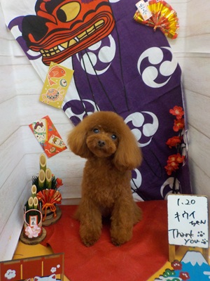 スッキリした♪