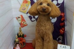 かっこよくなった？