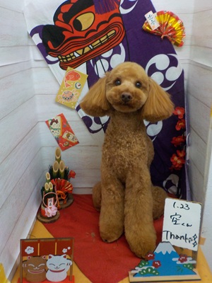 かっこよくなった？