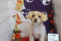 がんばったよ！！