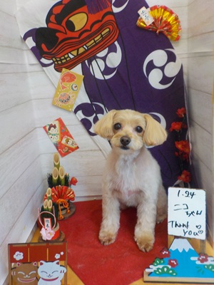 がんばったよ！！